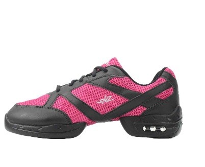 דאנסניקרס נמוכות